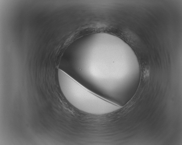 X0000081411204200701120909