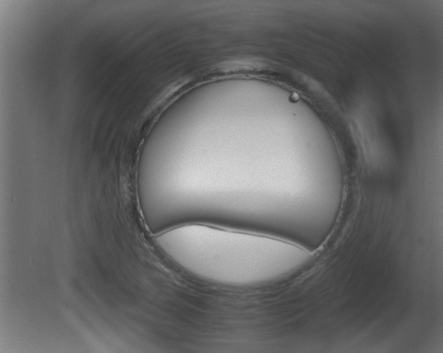 X0000081411217200701120909