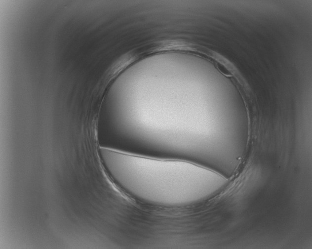 X0000081411241200701120909