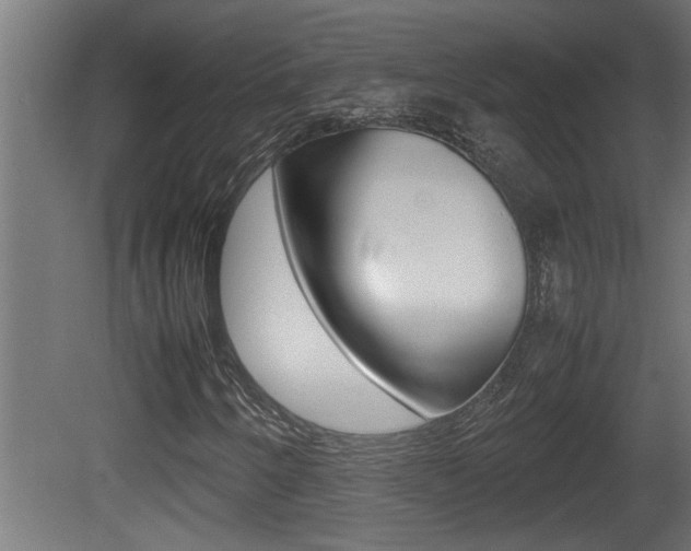 X0000081411250200701120909
