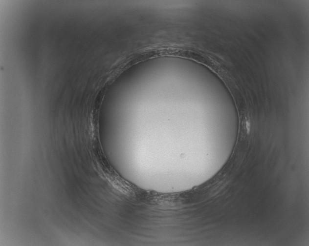 X0000081411252200701120909