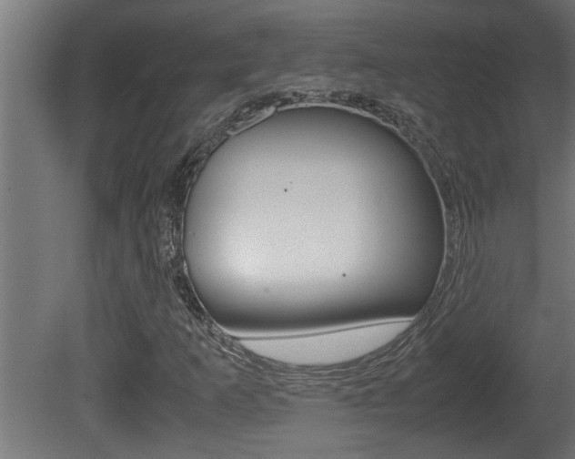 X0000081411253200701120909