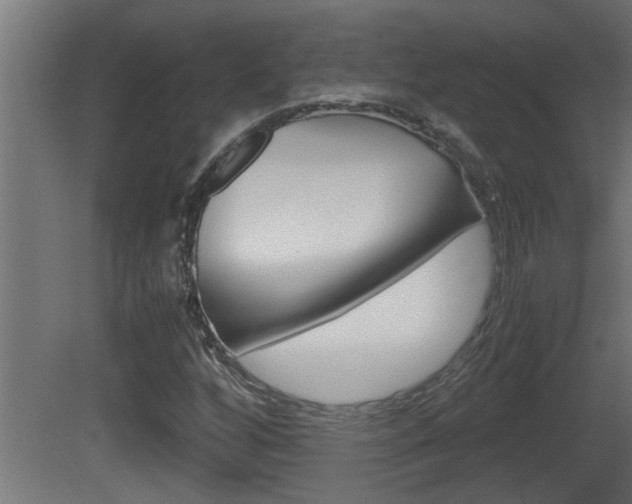 X0000081411256200701120908