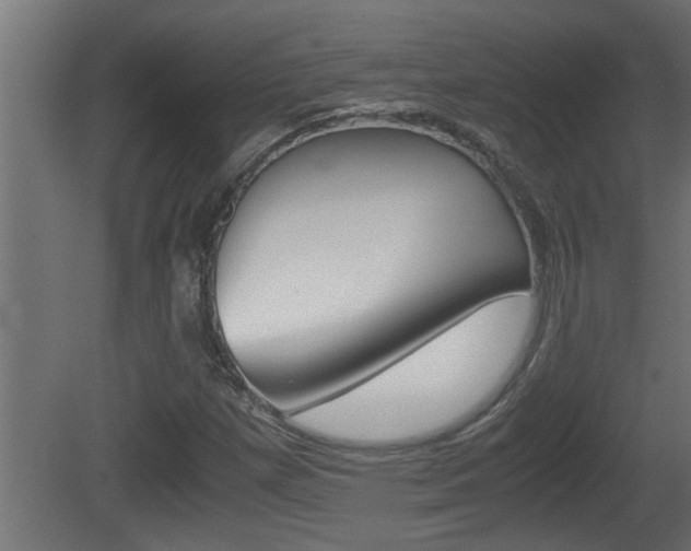 X0000081411257200701120908