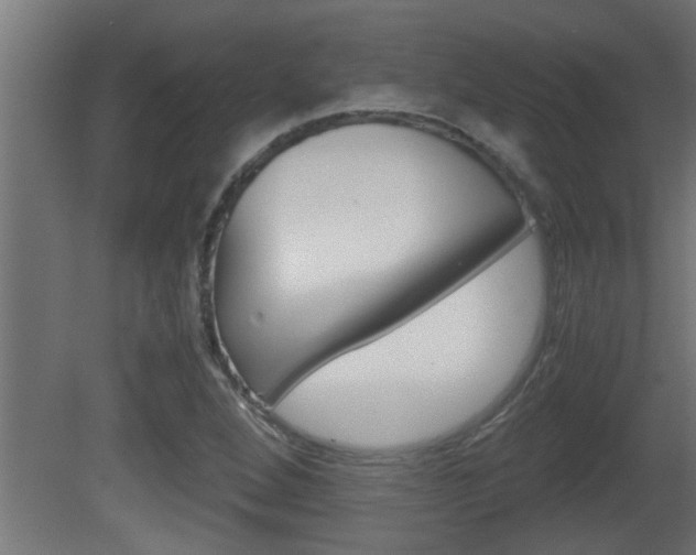 X0000081411264200701120908