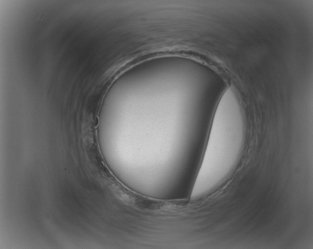 X0000081411265200701120908