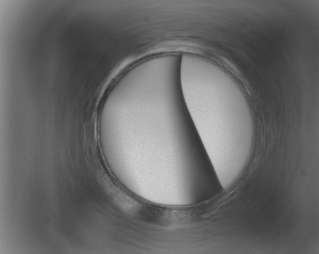 X0000081411275200701120908