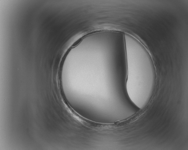 X0000081411293200701120908