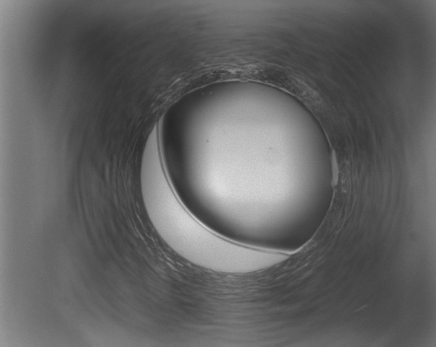 X0000081411298200701120907