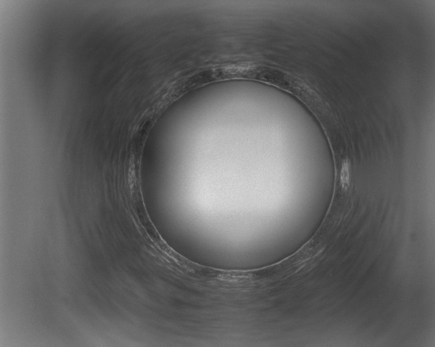 X0000081411299200701120907