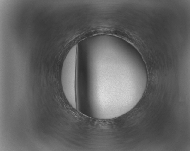 X0000081411301200701120907