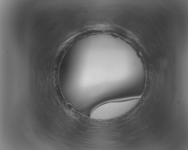 X0000081411304200701120907