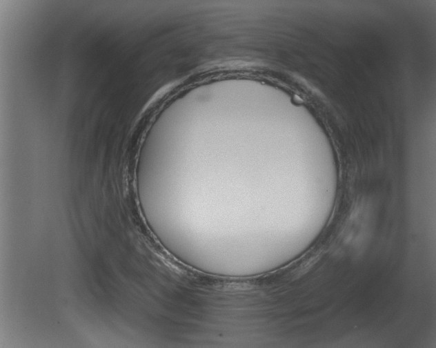 X0000081411306200701120907