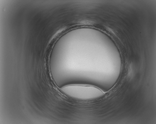X0000081411307200701120907