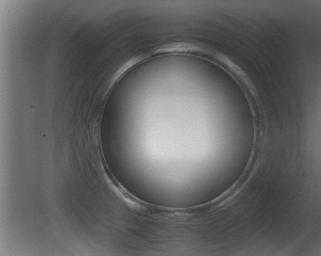 X0000081411329200701120908