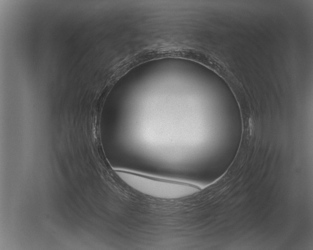 X0000081411348200701120907
