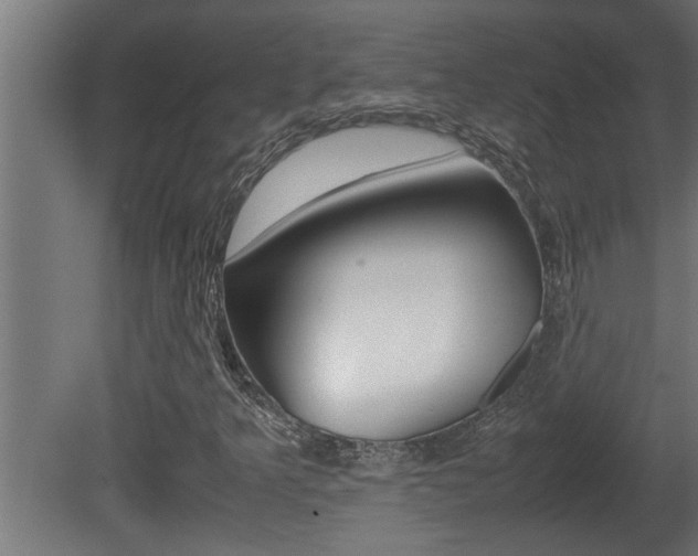 X0000081411349200701120907
