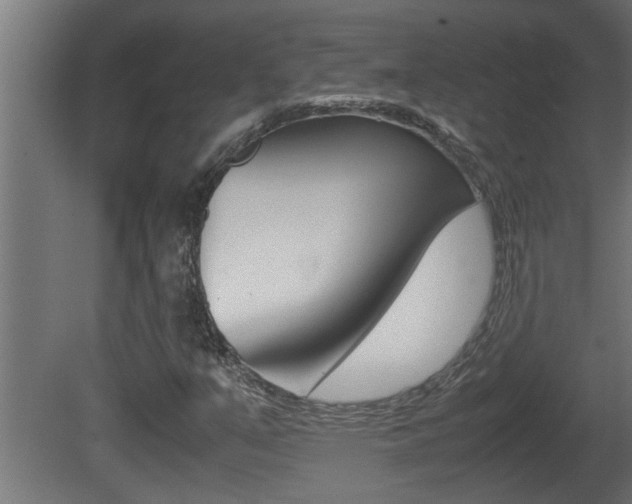 X0000081411351200701120907
