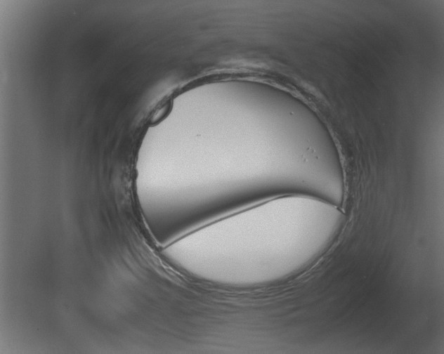 X0000081411355200701120907