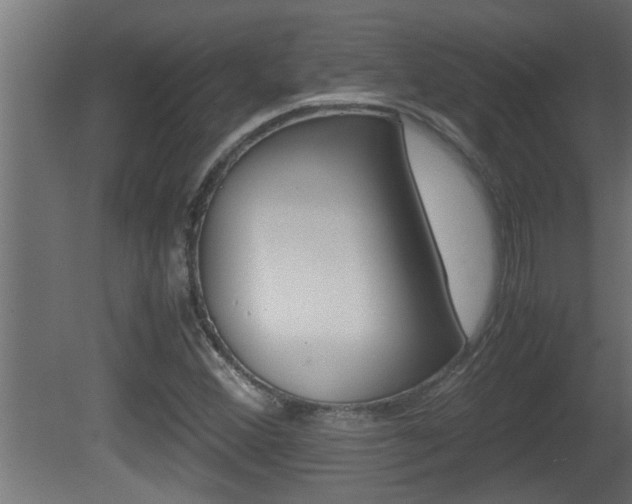 X0000081411356200701120907