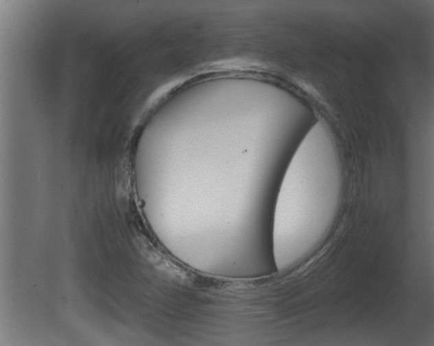 X0000081411358200701120907