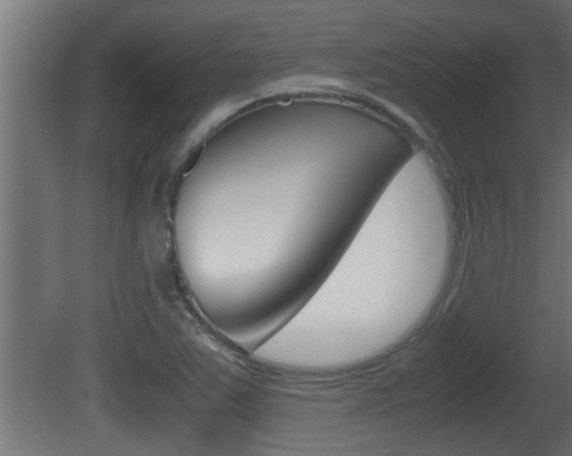 X0000081411363200701120907