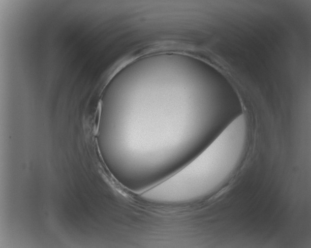 X0000081411369200701120907