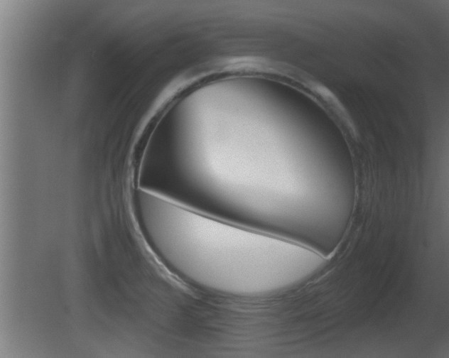 X0000081411376200701120906