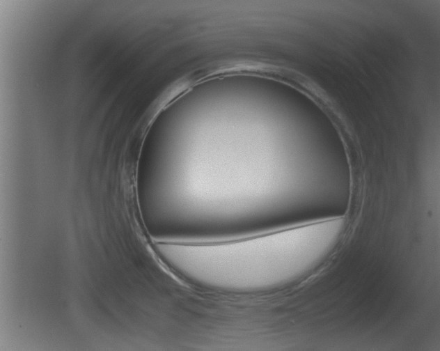X0000081411377200701120906