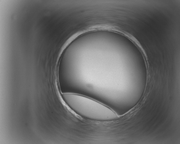X0000081411389200701120906