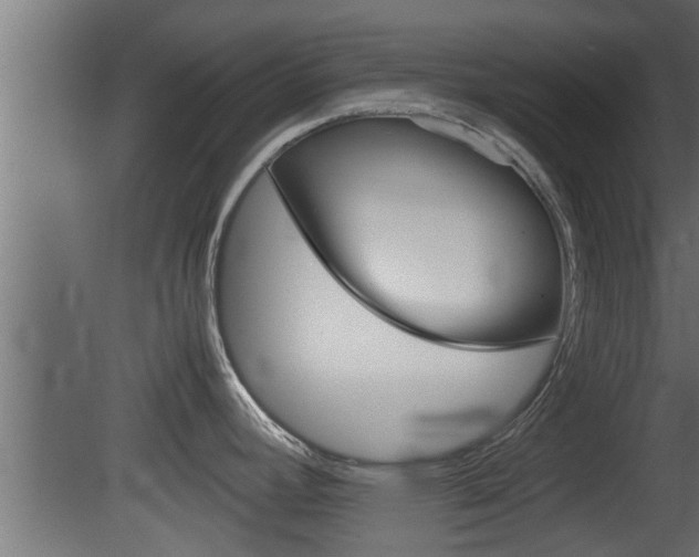 X0000081411392200701120906