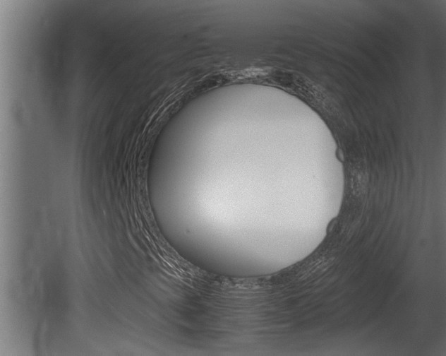 X0000081411393200701120905