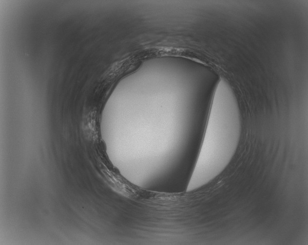 X0000081411396200701120905