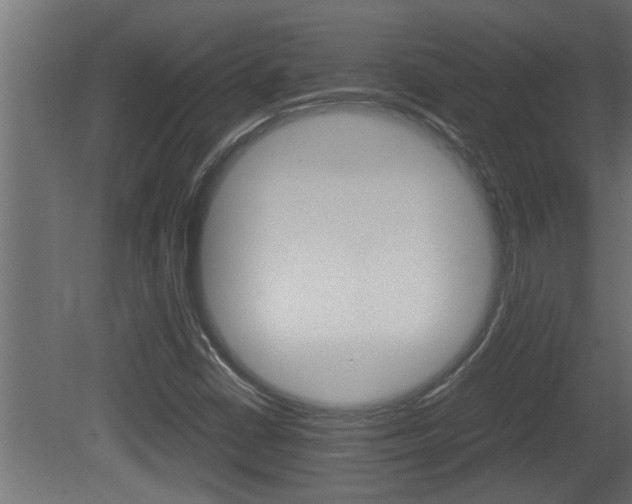X0000081411402200701120905
