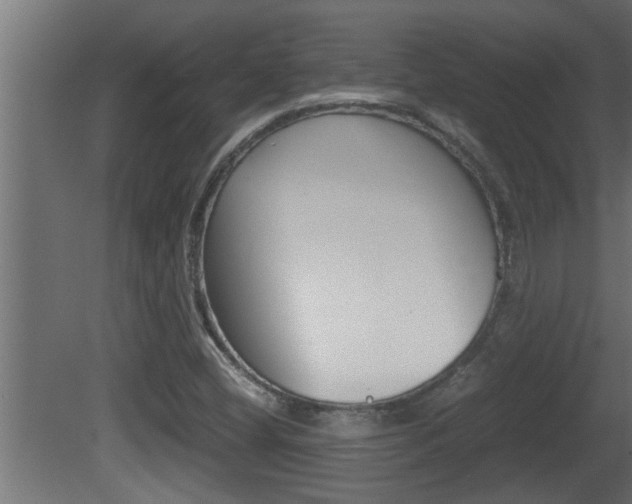 X0000081411404200701120905