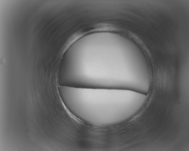 X0000081411425200701120906