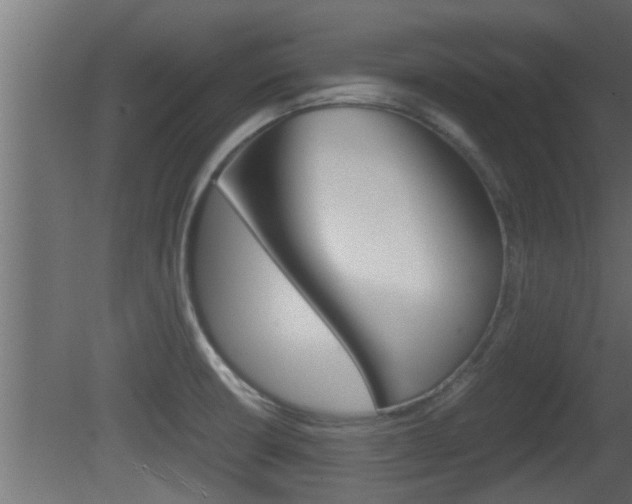 X0000081411426200701120906