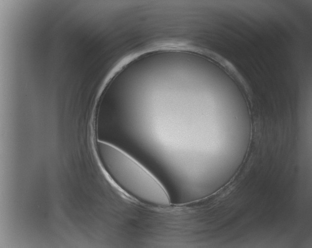 X0000081411432200701120906