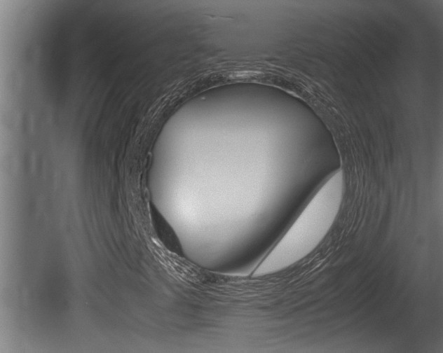 X0000081411441200701120905