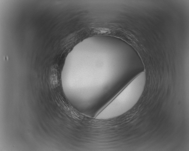 X0000081411442200701120905