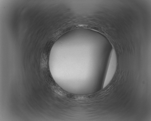 X0000081411443200701120905
