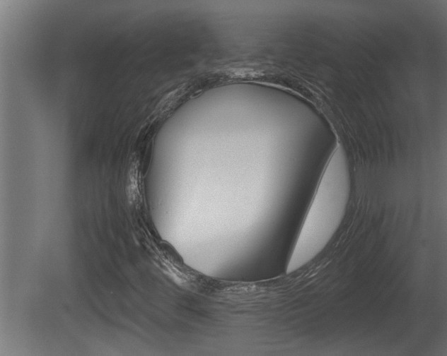 X0000081411444200701120905