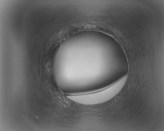 X0000081411445200701120905
