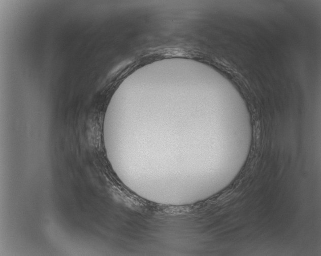 X0000081411446200701120905