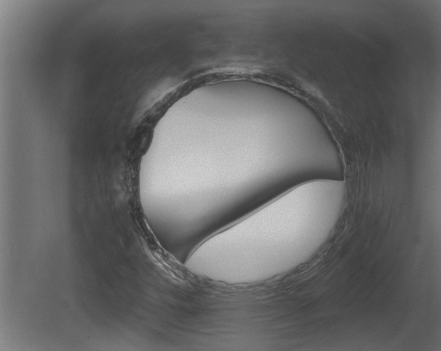 X0000081411448200701120905