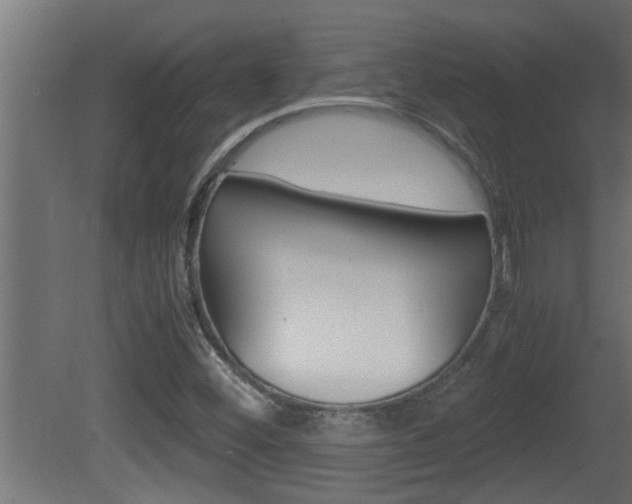 X0000081411452200701120905