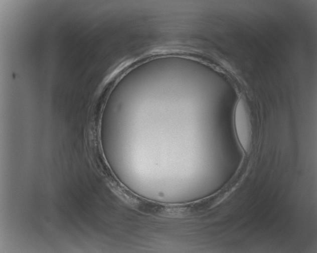 X0000081411453200701120905