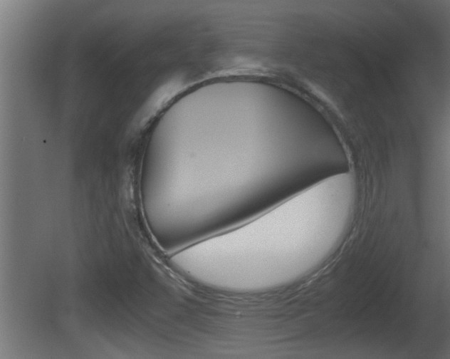 X0000081411455200701120905