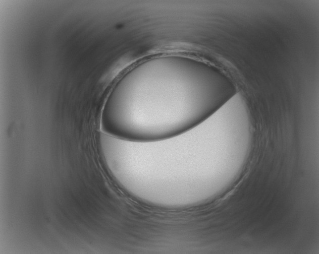 X0000081411457200701120905