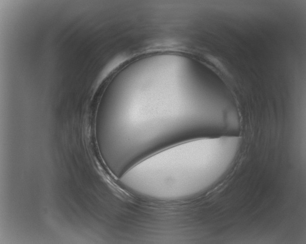 X0000081411458200701120905